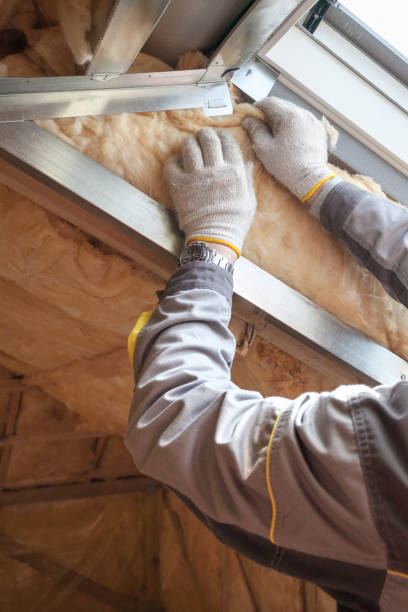 Best Eco-Friendly or Green Insulation Solutions  in Enterprise, WV